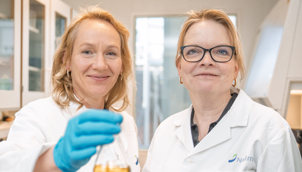 Kan sild og makrell hjelpe mot psoriasis?
