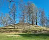 Bilde av en stor haug om våren. Det vokser mange trær på haugen, og foran er det en grønn gress-slette.