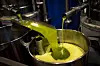 Olivenolje strømmer fra rør ned i en metalltank i et olivenoljepresseanlegg.