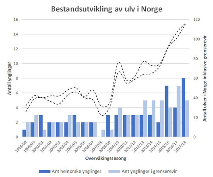 Her er en figur som neppe er lagd tidligere. Den viser viser anslått antall ulv i Norge (stiplede linjer viser mulig variasjon). Den viser også antall nye valpekull i norske revirer (mørkeblå søyler) og i norsk/svenske revirer (lyseblå søyler). Data og grafikk: Rovdata. Her er en figur som neppe er lagd tidligere. Den viser viser anslått antall ulv i Norge (stiplede linjer viser mulig variasjon). Den viser også antall nye valpekull i norske revirer (mørkeblå søyler) og i norsk/svenske revirer (lyseblå søyler). Data og grafikk: Rovdata.