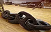 Store svarte kjettinger ligger på et lyst tregulv foran historiske våpen i bakgrunnen.