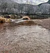 Grunn elv med steinete bunn, grusbanke og skogkledd elvebredd i bakgrunnen.