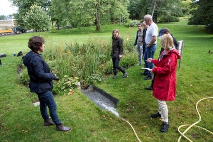 Parken på Campus Ås på NMBU brukes som et landskapslaboratorium hvor tiltak for å håndtere overvannsproblemer testes og utvikles. Regnbedet på bildet er en del av prosjektet. (Foto: Håkon Sparre / NMBU) Parken på Campus Ås på NMBU brukes som et landskapslaboratorium hvor tiltak for å håndtere overvannsproblemer testes og utvikles. Regnbedet på bildet er en del av prosjektet. (Foto: Håkon Sparre / NMBU)