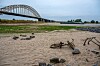 Rusten sykkel og handlevogn ligger på tørr elvebunn ved en bro i Varsseveld.