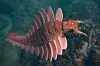 3D-illustrasjon av Anomalocaris som svømmer over en mørk, steinete havbunn.