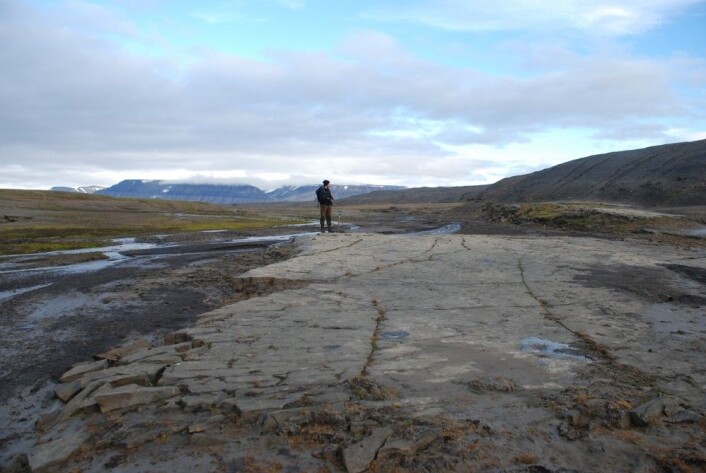 Da den bredemte sjøen ble tappet, skjedde dette trolig raskt og det var kraftig erosjon helt ned til fjellet. Strandlinjer fra sjøen ble dannet blant annet i åsen til høyre på bildet. (Foto: Astrid Lyså / NGU) Da den bredemte sjøen ble tappet, skjedde dette trolig raskt og det var kraftig erosjon helt ned til fjellet. Strandlinjer fra sjøen ble dannet blant annet i åsen til høyre på bildet. (Foto: Astrid Lyså / NGU)