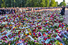 Kongefamilien står ved et stort blomsterhav mens folkemengden samler seg på Slottsplassen.