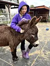 Barn i lilla hettegenser klapper et brunt, langhåret mini-esel utendørs.