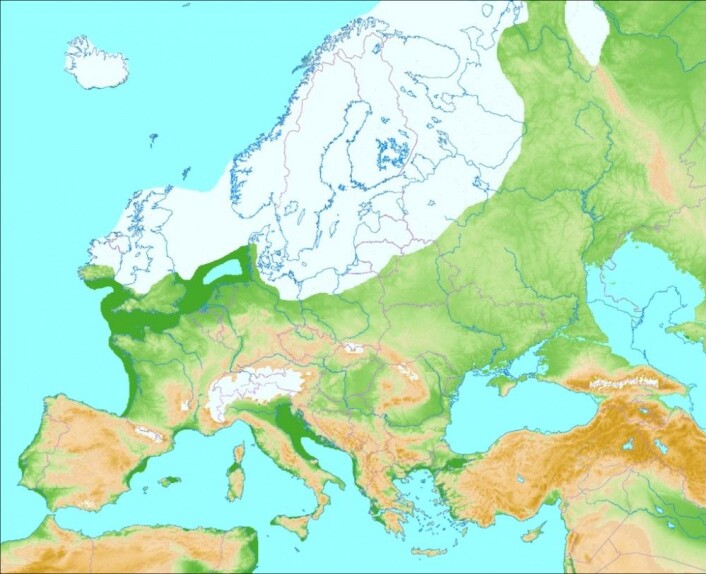 Utbredelsen av is under siste istid. (Bilde:Ulamm/CC BY-SA 3.0) Utbredelsen av is under siste istid. (Bilde:Ulamm/CC BY-SA 3.0)
