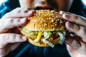 – Vi burde kanskje berike fastfood med vitaminer og mineraler, for det illustrerer hvem som trenger det, forteller Susanne Gjedsted Bügel. (Foto: DedMityay / Shutterstock / NTB scanpix) – Vi burde kanskje berike fastfood med vitaminer og mineraler, for det illustrerer hvem som trenger det, forteller Susanne Gjedsted Bügel. (Foto: DedMityay / Shutterstock / NTB scanpix)