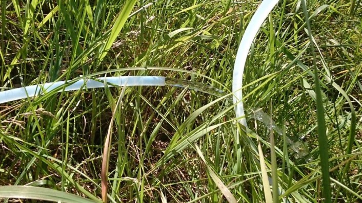 Undersøkelser i Norge viser flere funn av plantevernmidler i grunnvann som blir brukt som vannforsyning til gårdsbruk og annen spredt bebyggelse. (Foto: Roger Roseth) Undersøkelser i Norge viser flere funn av plantevernmidler i grunnvann som blir brukt som vannforsyning til gårdsbruk og annen spredt bebyggelse. (Foto: Roger Roseth)