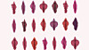 En illustrasjon som viser 21 vulvaer i ulike former, størrelser og fargenyanser i rosa, rødt, brunt og lilla illustrerer mangfoldet i hvordan vulvaer ser ut.
