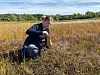 Kvinne sitter på huk i en høstgul eng med skog i bakgrunnen. Hun putter noe i en brun papirpose.