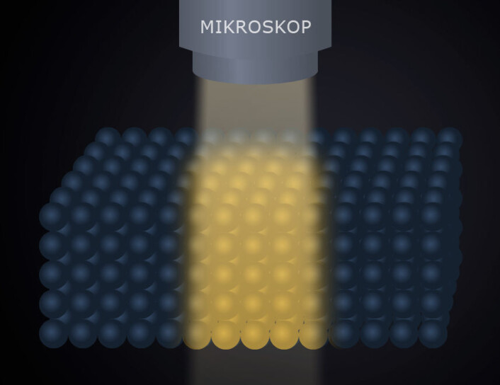 Når lyset kommer fra samme retning som mikroskopet, blir alle lagene av celler belyst. Dermed forstyrrer lyset fra de øverste lagene for lagene under, som forskerne vil se. (Figur: Arnfinn Christensen, forskning.no) Når lyset kommer fra samme retning som mikroskopet, blir alle lagene av celler belyst. Dermed forstyrrer lyset fra de øverste lagene for lagene under, som forskerne vil se. (Figur: Arnfinn Christensen, forskning.no)