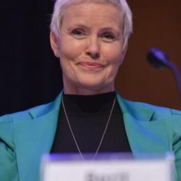 Berit Mortensen har jobbet i Palestina i flere omganger, både som sykepleier og jordmor. Nå tar hun doktorgrad om jordmorprosjektet hun var med på å starte. (Foto: Bir Zeit University) Berit Mortensen har jobbet i Palestina i flere omganger, både som sykepleier og jordmor. Nå tar hun doktorgrad om jordmorprosjektet hun var med på å starte. (Foto: Bir Zeit University)