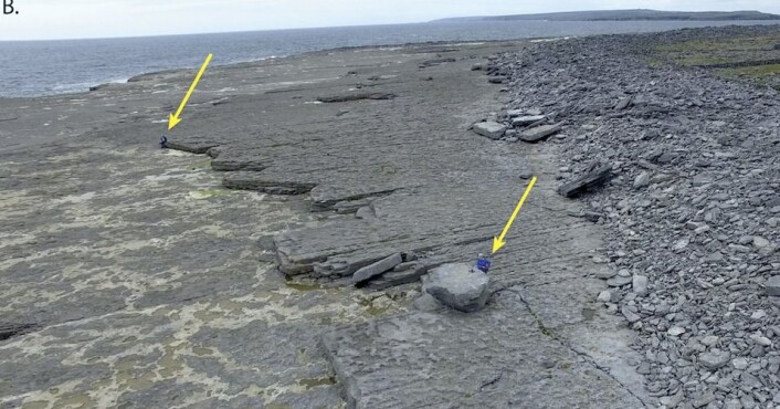 Steinen du ser her ble flyttet et stykke innover vinteren 2013-2014. Legg merke til de store steinmassene som havet har avsatt litt lenger inn på land. Steinen du ser her ble flyttet et stykke innover vinteren 2013-2014. Legg merke til de store steinmassene som havet har avsatt litt lenger inn på land.