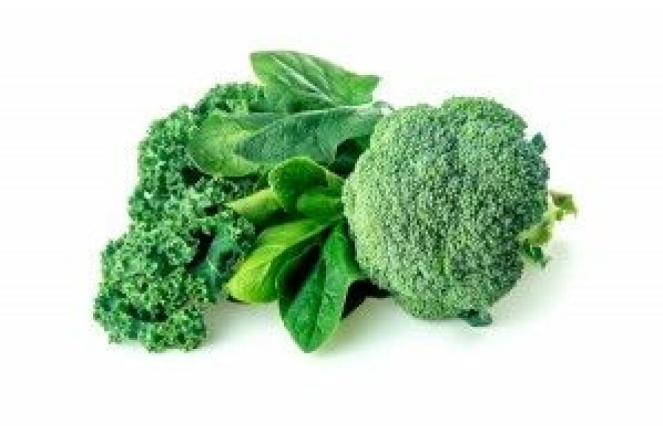 Kokt brokkoli, kokt grønnkål og kokt spinat er blant grønnsakene som inneholder mye K-vitamin. (Foto: Enlightened Media / Shutterstock / NTB scanpix)