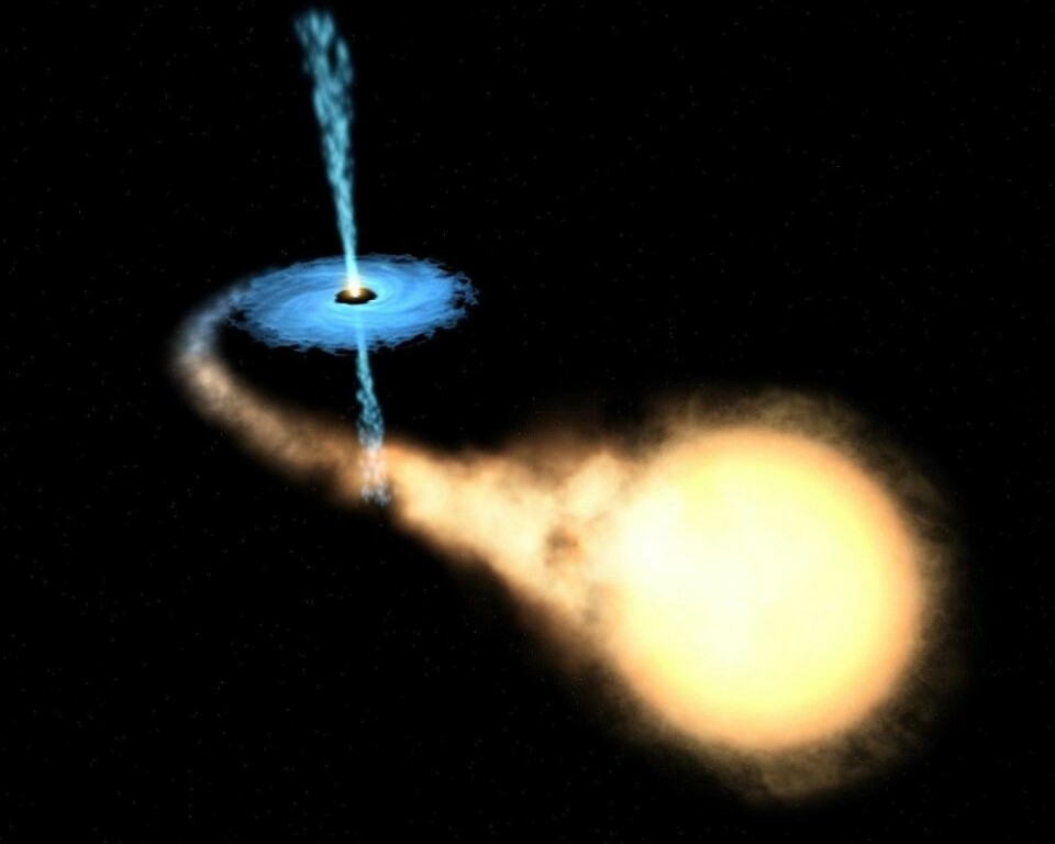 Slik kan en dobbeltstjerne med et sort hull se ut. Materie fra stjernen suges inn i det sorte hullet, noe som skaper stråling. Denne typen dobbeltstjerne kalles «X-ray binary». (Bilde: NASA/ESA)