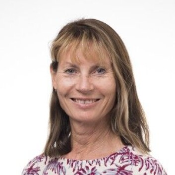 Kari Bø er professor ved Norges Idrettshistorie. Fra høsten av skal blant andre hun og Sandra Lødeng Gluppe studere flere sider ved skilte magemuskler. Hvordan oppleves det å ha det? Og er det egentlig skadelig? (Foto: Norges idrettshøgskole) Kari Bø er professor ved Norges Idrettshistorie. Fra høsten av skal blant andre hun og Sandra Lødeng Gluppe studere flere sider ved skilte magemuskler. Hvordan oppleves det å ha det? Og er det egentlig skadelig? (Foto: Norges idrettshøgskole)