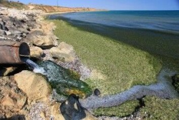 Landbruket er naturligvis ikke den eneste aktiviteten som påvirker Østersjøen. Byer og industri er også viktige kilder. Ifølge flere forskere er utslippene fra byene og industrien nå begrenset. (Foto: Photobac / Shutterstock / NTB scanpix) Landbruket er naturligvis ikke den eneste aktiviteten som påvirker Østersjøen. Byer og industri er også viktige kilder. Ifølge flere forskere er utslippene fra byene og industrien nå begrenset. (Foto: Photobac / Shutterstock / NTB scanpix)