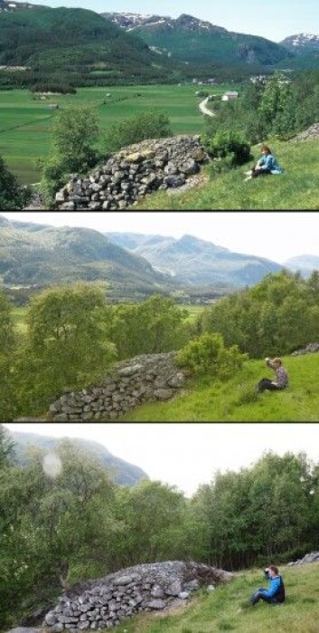 Desse bileta frå 1994, 2004 og 2014 er frå same stadet Hemsedal i Buskerud. Viss gjengroinga har kome så langt at tre byrjar å dominera arealet, er det spesielt krevjande å gjennomføra tiltak. (Foto: Oskar Puschmann) Desse bileta frå 1994, 2004 og 2014 er frå same stadet Hemsedal i Buskerud. Viss gjengroinga har kome så langt at tre byrjar å dominera arealet, er det spesielt krevjande å gjennomføra tiltak. (Foto: Oskar Puschmann)