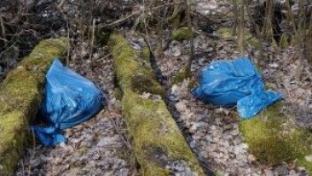 Plast i naturen ender ofte som mikroplast i havene. (Foto: Pixabay) Plast i naturen ender ofte som mikroplast i havene. (Foto: Pixabay)