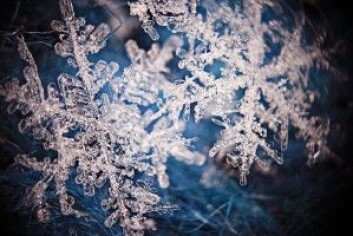 Humusmolekyler er som snøkrystaller, komplekse og ingen er helt like. Til forskjell fra snøkrystaller, inneholder humusmolekylene omtrent 50 prosent karbon. (Foto: Shutterstock / NTB scanpix) Humusmolekyler er som snøkrystaller, komplekse og ingen er helt like. Til forskjell fra snøkrystaller, inneholder humusmolekylene omtrent 50 prosent karbon. (Foto: Shutterstock / NTB scanpix)