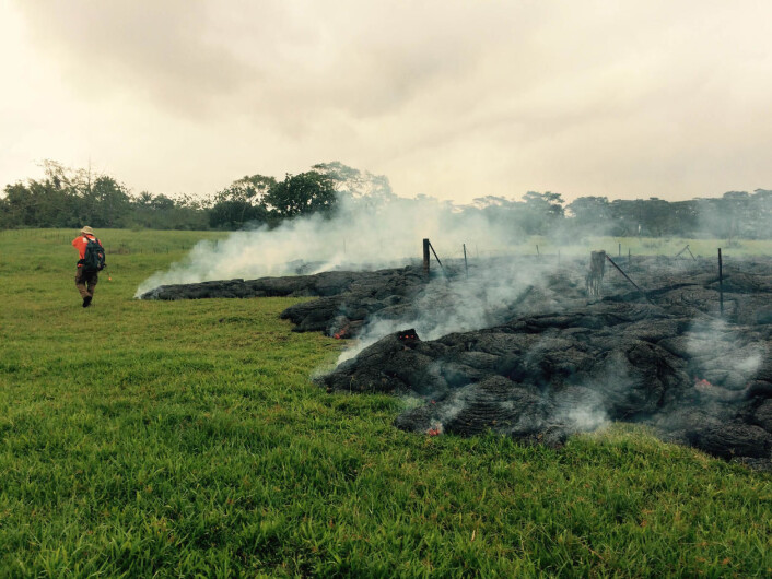 Ein geolog frå USGS gjer undersøkingar ved lavastraumen, vest for landsbyen Pahoa. Bildet er tatt 26. oktober 2014. (Foto: U.S. Geological Survey, Hawaiian Volcano Observatory) Ein geolog frå USGS gjer undersøkingar ved lavastraumen, vest for landsbyen Pahoa. Bildet er tatt 26. oktober 2014. (Foto: U.S. Geological Survey, Hawaiian Volcano Observatory)
