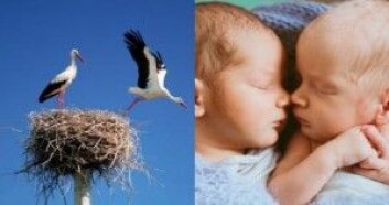 Selv om forskere konstaterer at antallet storker i et område korrelerer med antallet barnefødsler i det samme området, betyr det ikke nødvendigvis at storkene er årsaken til at det blir født barn. (Foto: Miramiska / pyrozhenka / Shutterstock / NTB scanpix ) Selv om forskere konstaterer at antallet storker i et område korrelerer med antallet barnefødsler i det samme området, betyr det ikke nødvendigvis at storkene er årsaken til at det blir født barn. (Foto: Miramiska / pyrozhenka / Shutterstock / NTB scanpix )