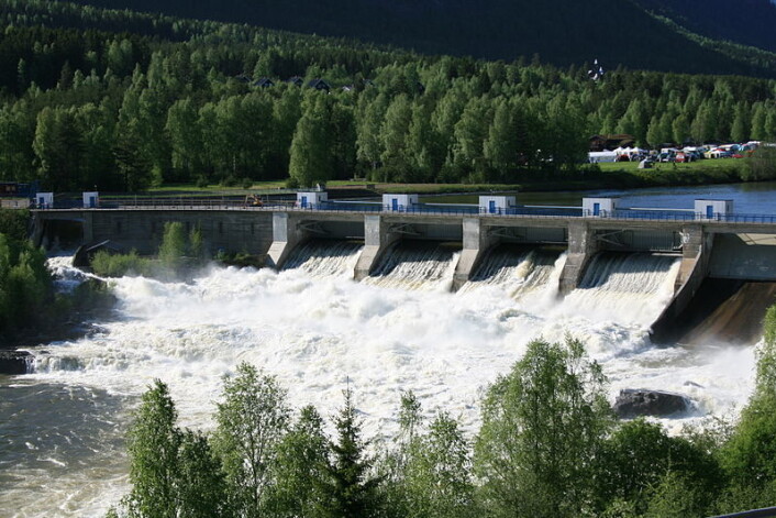 Hunderfossen ble demmet opp på 1960-tallet. Da ble det også bygget en trapp som hjalp fisken forbi dammen. (Foto: Guntars Mednis/Wikimedia Commons CC BY-SA 3.0) Hunderfossen ble demmet opp på 1960-tallet. Da ble det også bygget en trapp som hjalp fisken forbi dammen. (Foto: Guntars Mednis/Wikimedia Commons CC BY-SA 3.0)