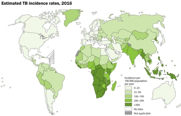 Tuberkulose er mest utbredt i land med mørk grønn farge. Omlag 3 per 1000 innbyggere har tuberkulose i land i det sørlige Afrika og i deler av Asia. (Kart: WHO) Tuberkulose er mest utbredt i land med mørk grønn farge. Omlag 3 per 1000 innbyggere har tuberkulose i land i det sørlige Afrika og i deler av Asia. (Kart: WHO)