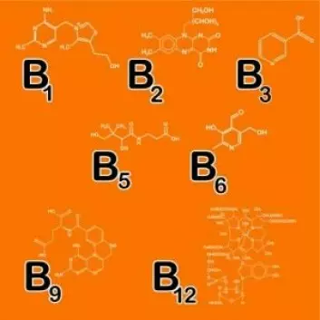 Forskerne trodde en gang at det var tolv forskjellige typer B-vitaminer. I dag er tallet nede på åtte. (Illustrasjon: artskvortsova / Shutterstock / NTB scanpix)