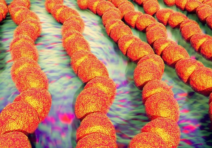 Enterokokker er bakterier som finnes i tarmen. Noen typer er motstandsdyktige mot antibiotika og er en trussel mot mennesker som blir rammet av infeksjon med disse bakteriene. (Illustrasjon: royaltystockphoto.com / Shutterstock / NTB scanpix) Enterokokker er bakterier som finnes i tarmen. Noen typer er motstandsdyktige mot antibiotika og er en trussel mot mennesker som blir rammet av infeksjon med disse bakteriene. (Illustrasjon: royaltystockphoto.com / Shutterstock / NTB scanpix)
