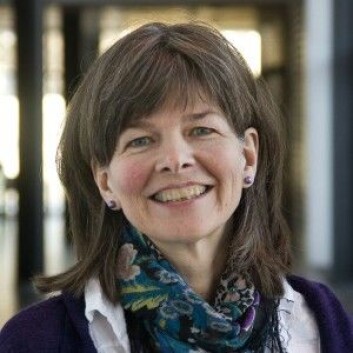 Ruth Haug er professor ved Institutt for internasjonale miljø- og utviklingsstudier (Noragric). (Foto: NMBU) Ruth Haug er professor ved Institutt for internasjonale miljø- og utviklingsstudier (Noragric). (Foto: NMBU)