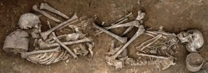 Dette gravfunnet er fra Trumpington i England. To mennesker er begravet med krukker som tilhørte klokkebegerkulturen. (Foto: Dave Webb, Cambridge Archaeological Unit)