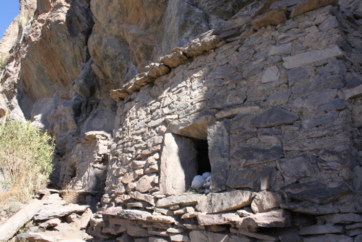 Noen av hodeskallene er funnet på gravstedet Yuraq Qaqa. (Foto: Matthew C. Velasco/Proyecto Bioarqueológico Coporaque) Noen av hodeskallene er funnet på gravstedet Yuraq Qaqa. (Foto: Matthew C. Velasco/Proyecto Bioarqueológico Coporaque)
