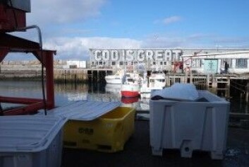 «Cod is great!» av Steve Powers. Skapt som en del av Komafest i Vardø i 2012. (Foto: Siv Leden / NIKU) «Cod is great!» av Steve Powers. Skapt som en del av Komafest i Vardø i 2012. (Foto: Siv Leden / NIKU)