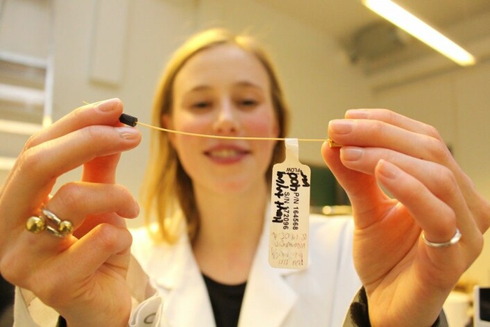 Cecilie Rosting med en hårtynn kolonne som brukes til å analysere innholdet i tørkede blodprøver. (Foto: Bjarne Røsjø, UiO)