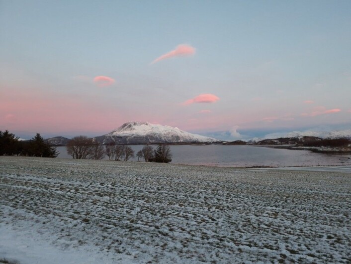 Kystklimaet på NIBIOs forskningsstasjon på Tjøtta gjør at plantene opplever store variasjoner i snømengde, temperatur og fuktighet. Det kan gi utfordrende forhold for landbruksplantene (Foto: Ievina Sturite) Kystklimaet på NIBIOs forskningsstasjon på Tjøtta gjør at plantene opplever store variasjoner i snømengde, temperatur og fuktighet. Det kan gi utfordrende forhold for landbruksplantene (Foto: Ievina Sturite)