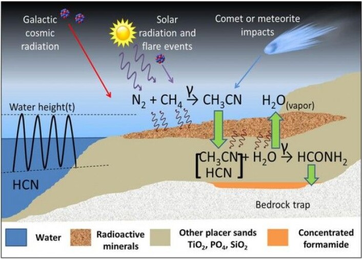 På den tidlige jordkloden kunne acetonitril og blåsyre bli gjort om til formamid, der biologiske molekyler kunne oppstå. Det krever imidlertid energi i form av radioaktiv stråling. (Illustrasjon: Adam et al./Scientific Reports) På den tidlige jordkloden kunne acetonitril og blåsyre bli gjort om til formamid, der biologiske molekyler kunne oppstå. Det krever imidlertid energi i form av radioaktiv stråling. (Illustrasjon: Adam et al./Scientific Reports)