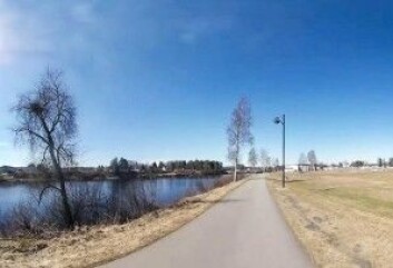 Slik så det ut der forsøkspersonene gikk tur. (Foto: Høgskolen i Innlandet) Slik så det ut der forsøkspersonene gikk tur. (Foto: Høgskolen i Innlandet)