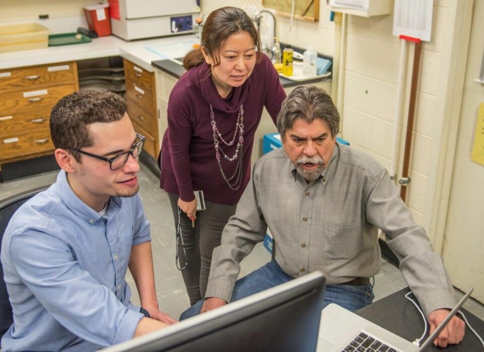 De tre forskerne Joel Soler (venstre), Lily Yan og Tony Nunez ved Michigan State University mener at det å oppholde seg i for dårlig lys hjemme eller på kontoret, svekker hjernekapasiteten. (Foto: Michigan State University)