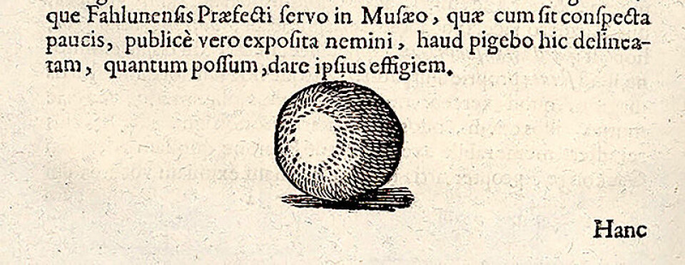 Schefferus beskrev gand som en liten kule, som i Sverige ble kalt gand-tyre. Han har avbildet en gand-tyre i boken Lapponia. (Illustrasjon: Johannes Schefferus / NTNU UB)