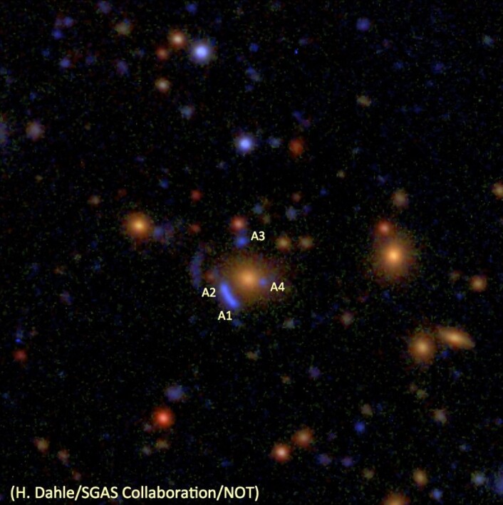Gravitasjonslinsen SDSSJ1732+3411 er ett av objektene som James Webb-teleskopet skal rettes mot i løpet av de første fem månedene det er i drift. De blålige objektene merket A1-A4 er i virkeligheten fire bilder av den samme, fjerne galaksen. Årsaken til at vi ser fire bilder, er at lyset fra den fjerne galaksen er blitt avbøyd i tyngdefeltet til en galaksehop som ligger mellom oss og galaksen. De oransje, elliptiske flekkene er galakser som hører hjemme i galaksehopen. Bildet er satt sammen av eksponeringer i tre fargebånd med MOSCA-instrumentet på Nordisk Optisk Teleskop. (Montasje: H. Dahle/SGAS Collaboration/NOT) Gravitasjonslinsen SDSSJ1732+3411 er ett av objektene som James Webb-teleskopet skal rettes mot i løpet av de første fem månedene det er i drift. De blålige objektene merket A1-A4 er i virkeligheten fire bilder av den samme, fjerne galaksen. Årsaken til at vi ser fire bilder, er at lyset fra den fjerne galaksen er blitt avbøyd i tyngdefeltet til en galaksehop som ligger mellom oss og galaksen. De oransje, elliptiske flekkene er galakser som hører hjemme i galaksehopen. Bildet er satt sammen av eksponeringer i tre fargebånd med MOSCA-instrumentet på Nordisk Optisk Teleskop. (Montasje: H. Dahle/SGAS Collaboration/NOT)