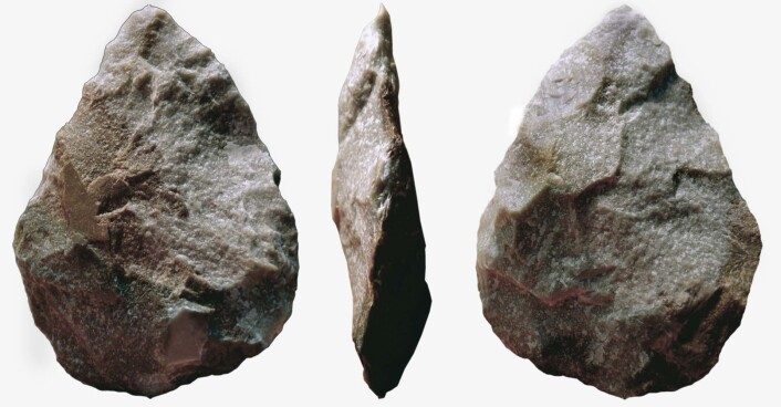 Steinøkser laget på Aucheleén-måten. (Bilde: José-Manuel Benito Álvarez (España)/CC BY-SA 2.5) Steinøkser laget på Aucheleén-måten. (Bilde: José-Manuel Benito Álvarez (España)/CC BY-SA 2.5)