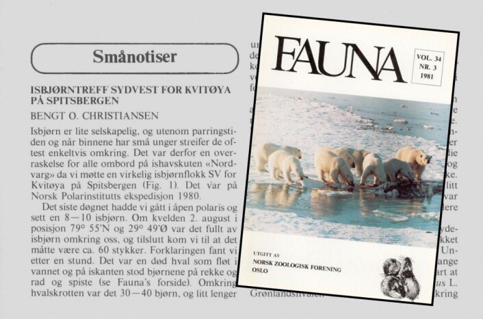 Faksimile fra tidsskriftet Fauna i 1981. (Montasje: Eivind Torgersen) Faksimile fra tidsskriftet Fauna i 1981. (Montasje: Eivind Torgersen)