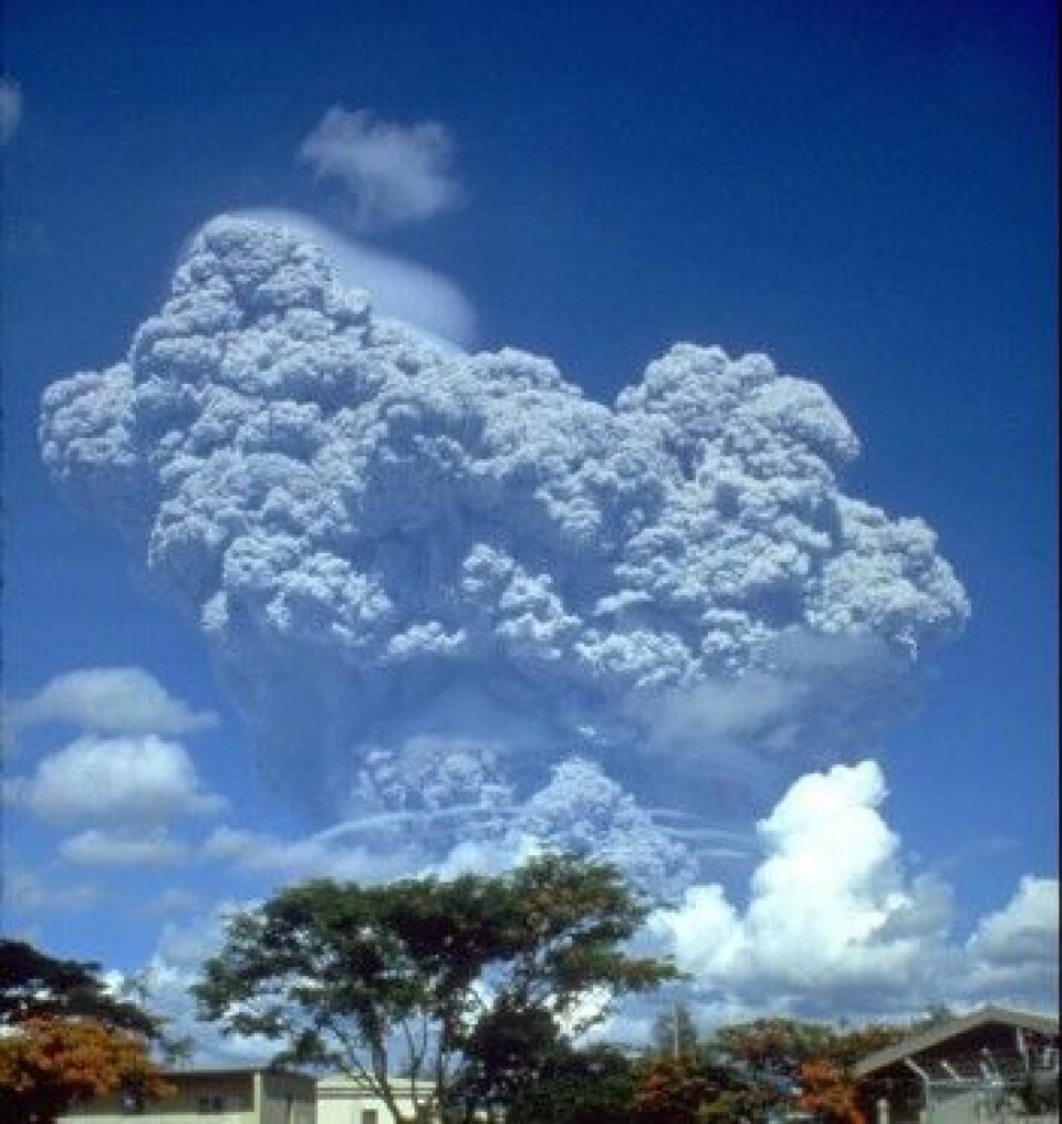 I 1991 fikk vulkanen Mount Pinatobu et utbrudd og sendte 20 000 000 tonn svoveldioksid opp i atmosfæren. Det dannet et lysreflekterende lag i atmosfæren, noe som senket den globale temperaturen med 0,5 grader fra 1991 til 1993. (Foto: U.S. Geological Survey Photograph/Richard P. Hoblitt)