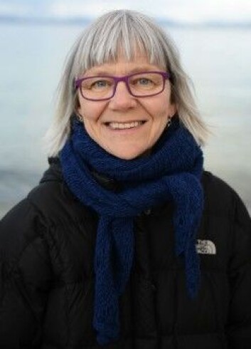 Ellen Blix er professor ved OsloMet. (Foto: Sonja Balci) Ellen Blix er professor ved OsloMet. (Foto: Sonja Balci)