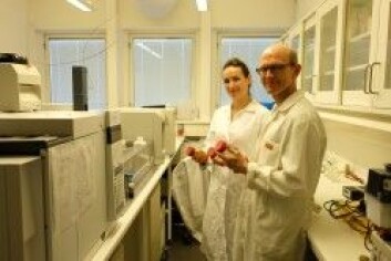 Claire Coutris og Erik Joner er to av forfatterne bak NIBIO-rapporten Kartlegging av mikroplast/gummigranulat i jord nær kunstgressbaner. (Foto: Kathrine Torday Gulden, NIBIO) Claire Coutris og Erik Joner er to av forfatterne bak NIBIO-rapporten Kartlegging av mikroplast/gummigranulat i jord nær kunstgressbaner. (Foto: Kathrine Torday Gulden, NIBIO)