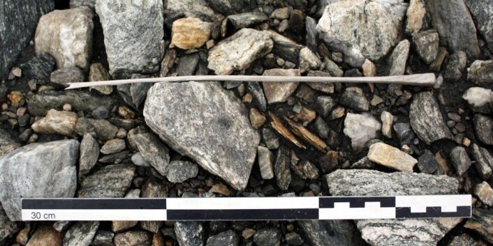 Det forskerne mener er en lekepil fra <em>Late Antique Litte Ice Age</em>, mellom 536 og 660. Da var klimaet kaldt, og det var antakelig svært viktig at barn lærte seg å jakte, sier brearkeolog ved Oppland fylkeskommune, Lars Holger Pilø. (Foto: Oppland fylkeskommune/Kulturhistorisk Museum) Det forskerne mener er en lekepil fra <em>Late Antique Litte Ice Age</em>, mellom 536 og 660. Da var klimaet kaldt, og det var antakelig svært viktig at barn lærte seg å jakte, sier brearkeolog ved Oppland fylkeskommune, Lars Holger Pilø. (Foto: Oppland fylkeskommune/Kulturhistorisk Museum)